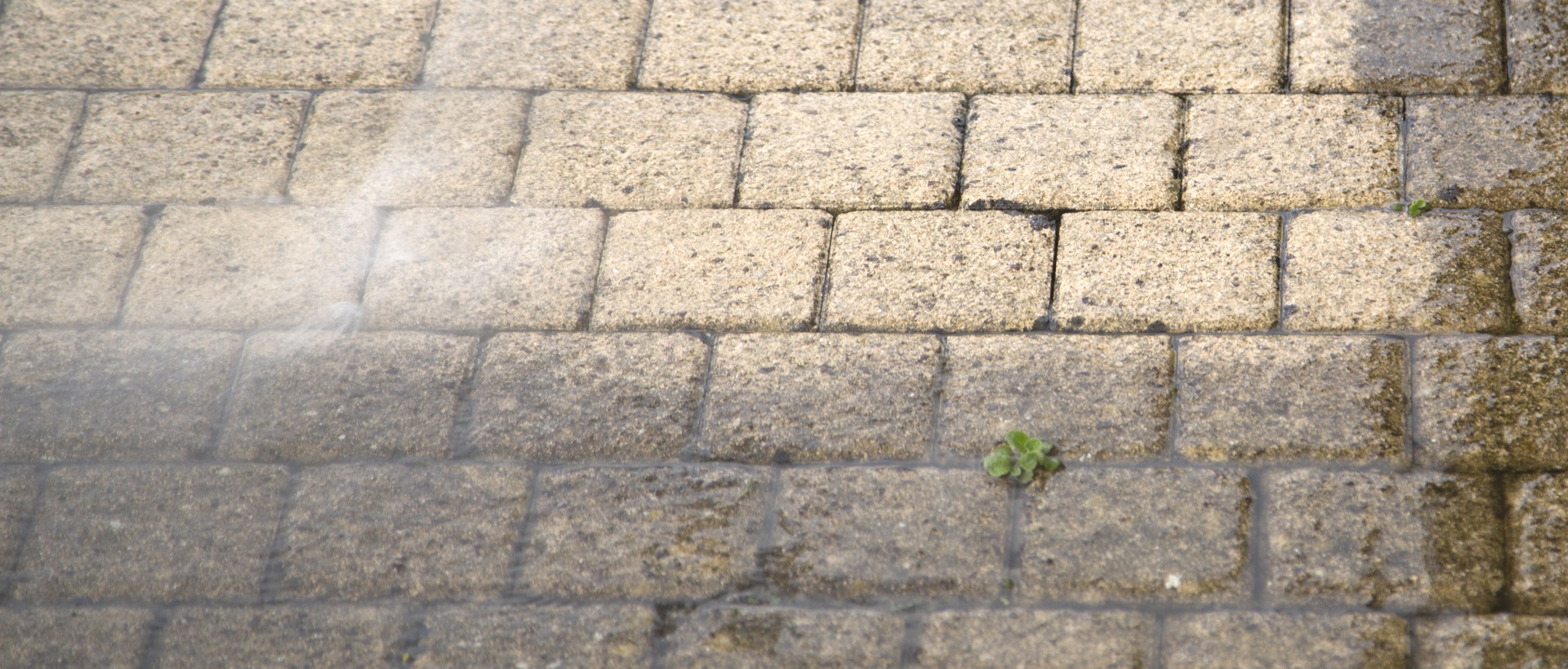 flagging and patios SE11